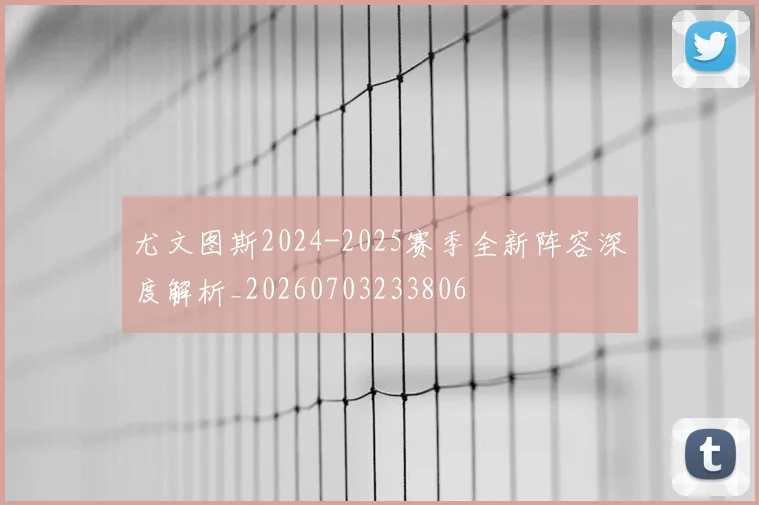 尤文图斯2024-2025赛季全新阵容深度解析_20260703233806
